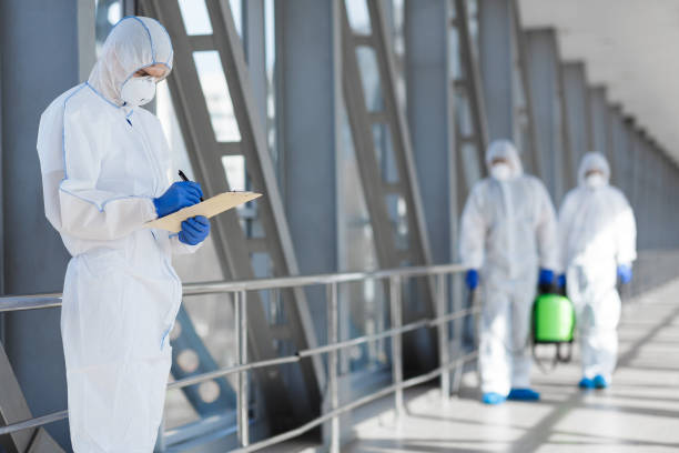 Best Industrial Mold Remediation  in Dell Rapids, SD